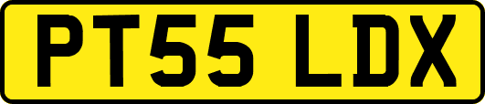 PT55LDX