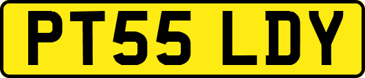 PT55LDY