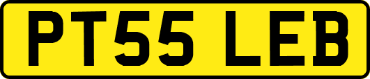 PT55LEB