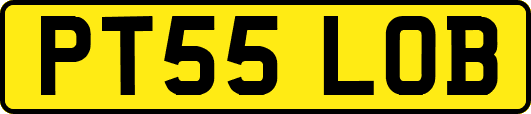 PT55LOB