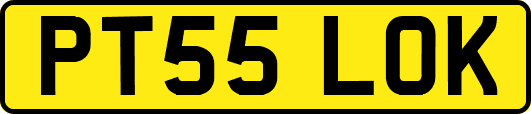 PT55LOK