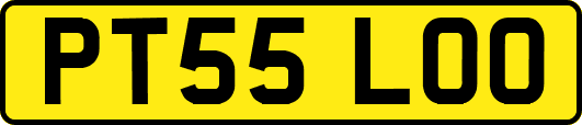 PT55LOO