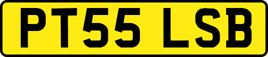 PT55LSB