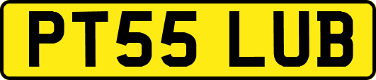 PT55LUB