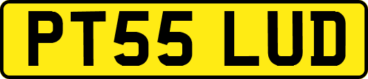 PT55LUD