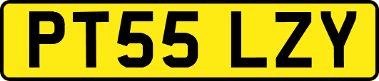 PT55LZY