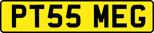 PT55MEG