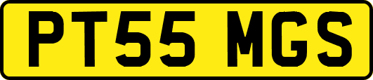 PT55MGS
