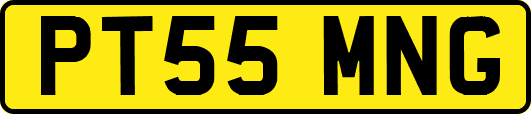 PT55MNG