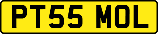 PT55MOL