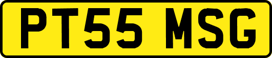 PT55MSG