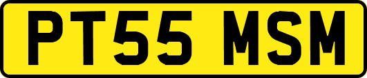 PT55MSM