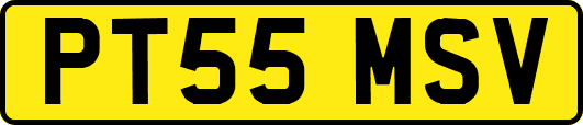 PT55MSV
