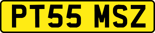 PT55MSZ