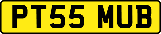 PT55MUB