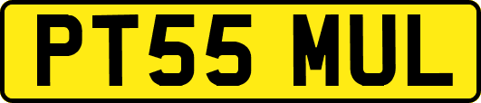 PT55MUL