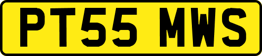 PT55MWS