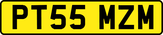 PT55MZM