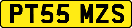 PT55MZS