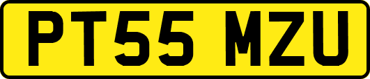 PT55MZU