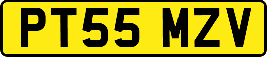 PT55MZV
