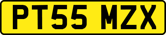 PT55MZX