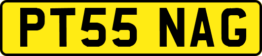 PT55NAG