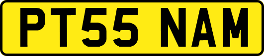 PT55NAM