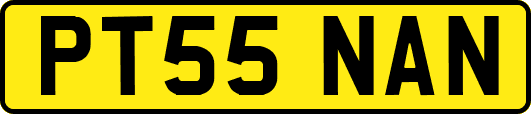 PT55NAN