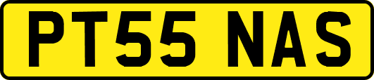 PT55NAS