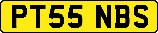 PT55NBS