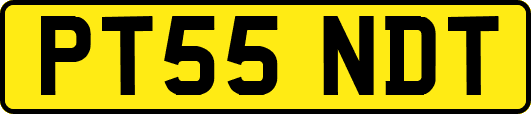 PT55NDT