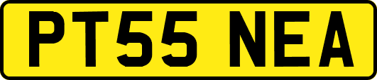 PT55NEA