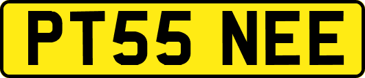PT55NEE