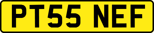 PT55NEF