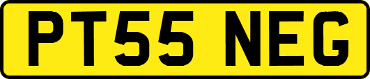 PT55NEG