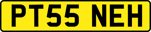 PT55NEH