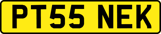 PT55NEK