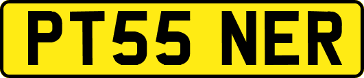 PT55NER