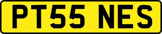 PT55NES
