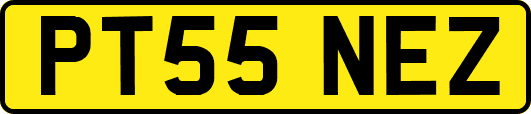 PT55NEZ