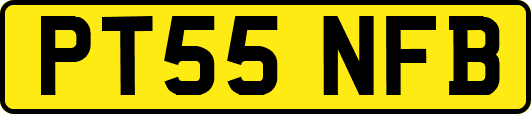 PT55NFB