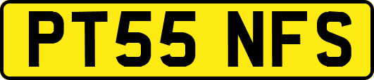 PT55NFS