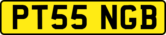 PT55NGB