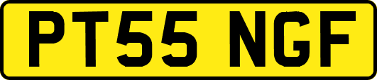 PT55NGF