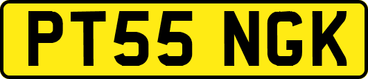 PT55NGK