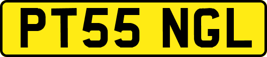 PT55NGL