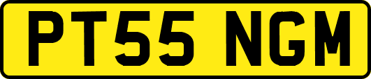 PT55NGM