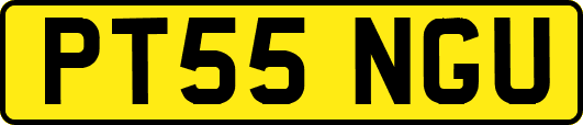 PT55NGU