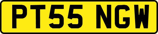 PT55NGW